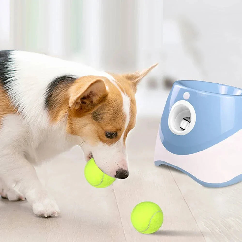 Automatic Tennis Ball Launcher: Interactive Dog Training Toy